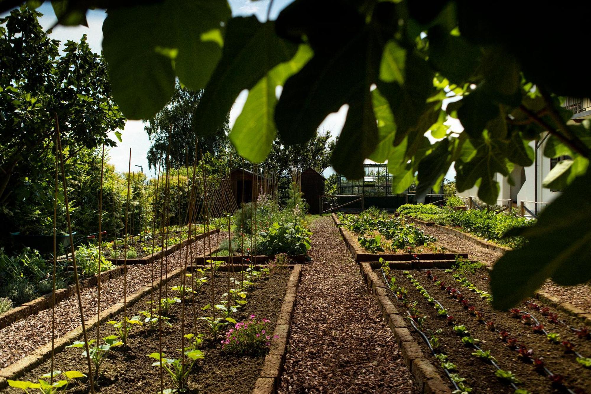 Coltivare Agrirelais La Morra Buitenkant foto